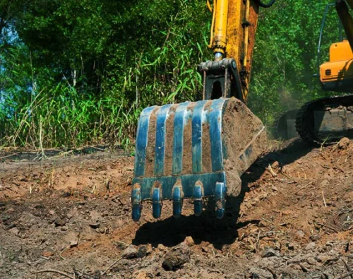 LAND CLEARING