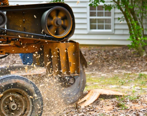 STUMP GRINDING