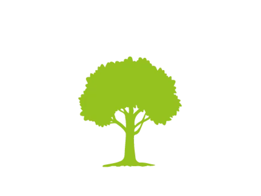 Yanez Tree Service and Landscaping, LLC GBP