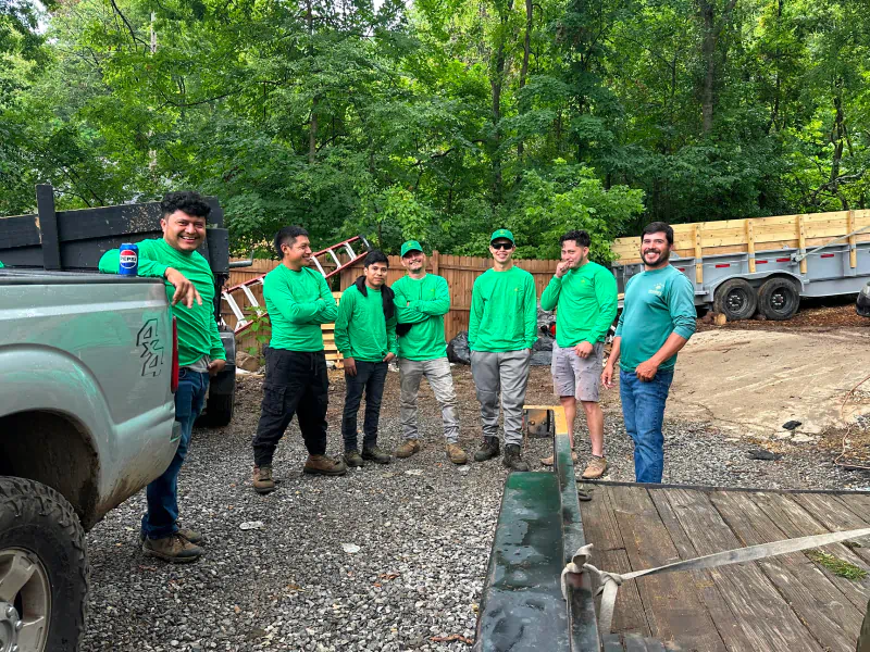 yanez tree service team